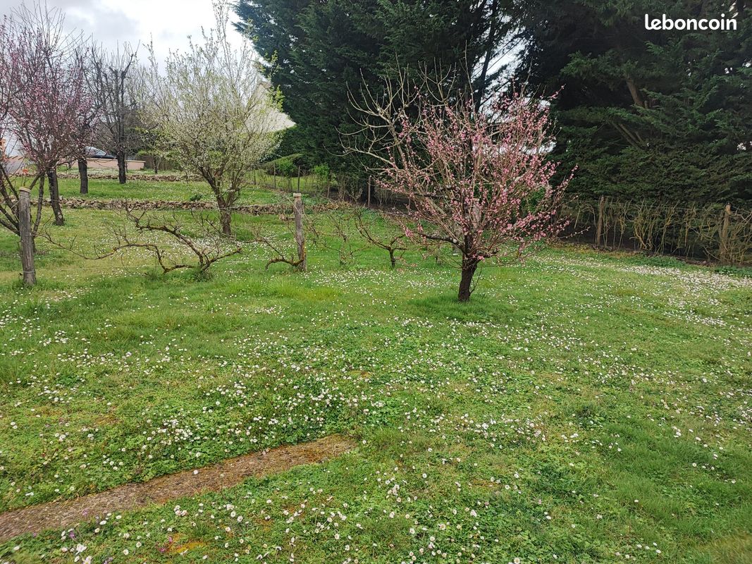 Terrain à Bâtir · à Azay-le-Rideau · 77 000 €