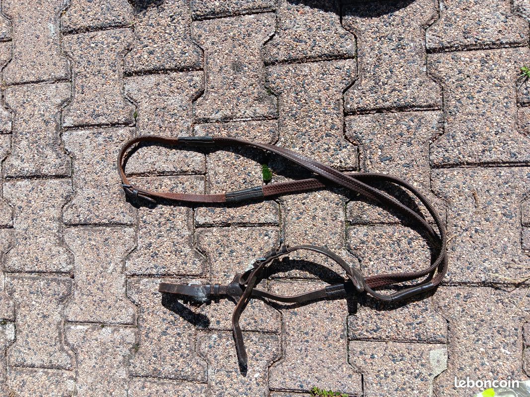 Équipements équitation (image 5)