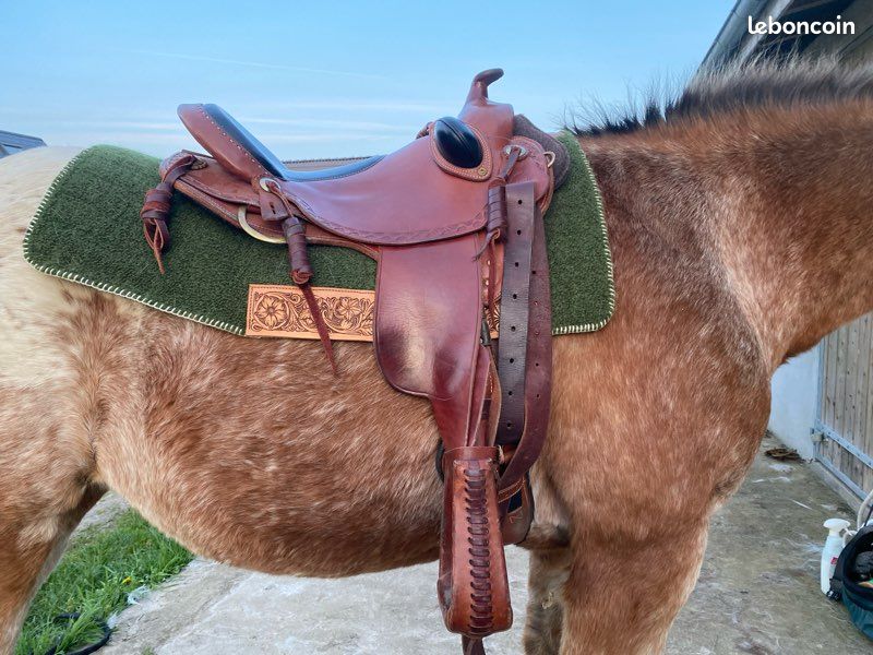 Tapis de Selle Équitation Barrel avec Laine Polaire Tapis de Selle Équitation Barrel avec Laine Polaire