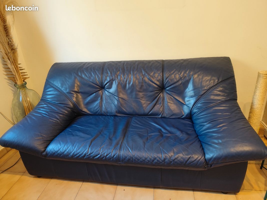 Canapé cuir (image 1)