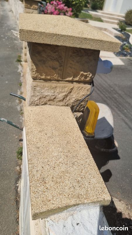 Chapeau muret (image 3)