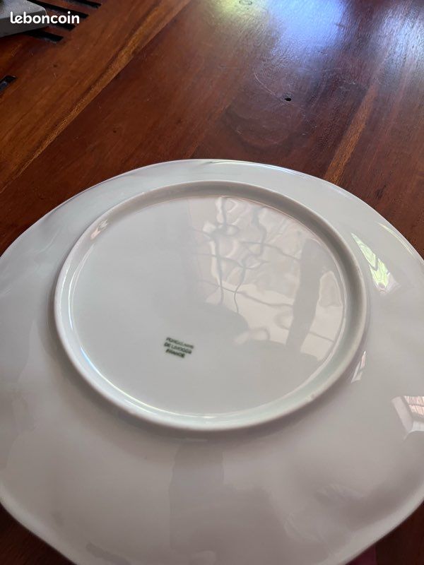 Assiettes à huître porcelaine de Limoges neuves (image 4)