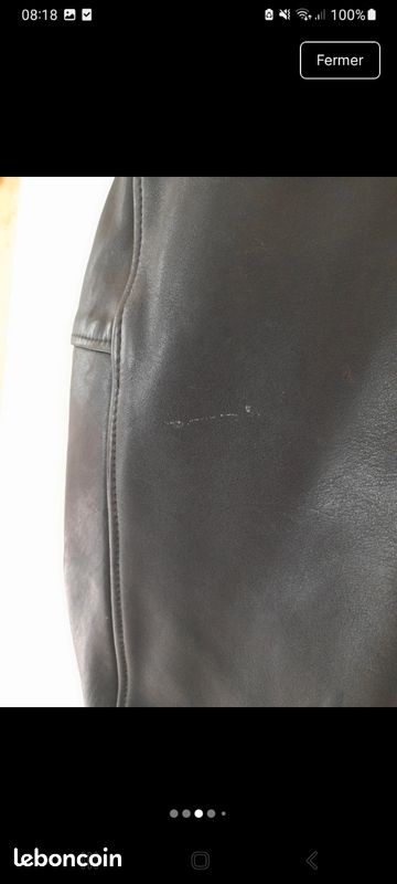 Blouson creeks flight coat (image 3)