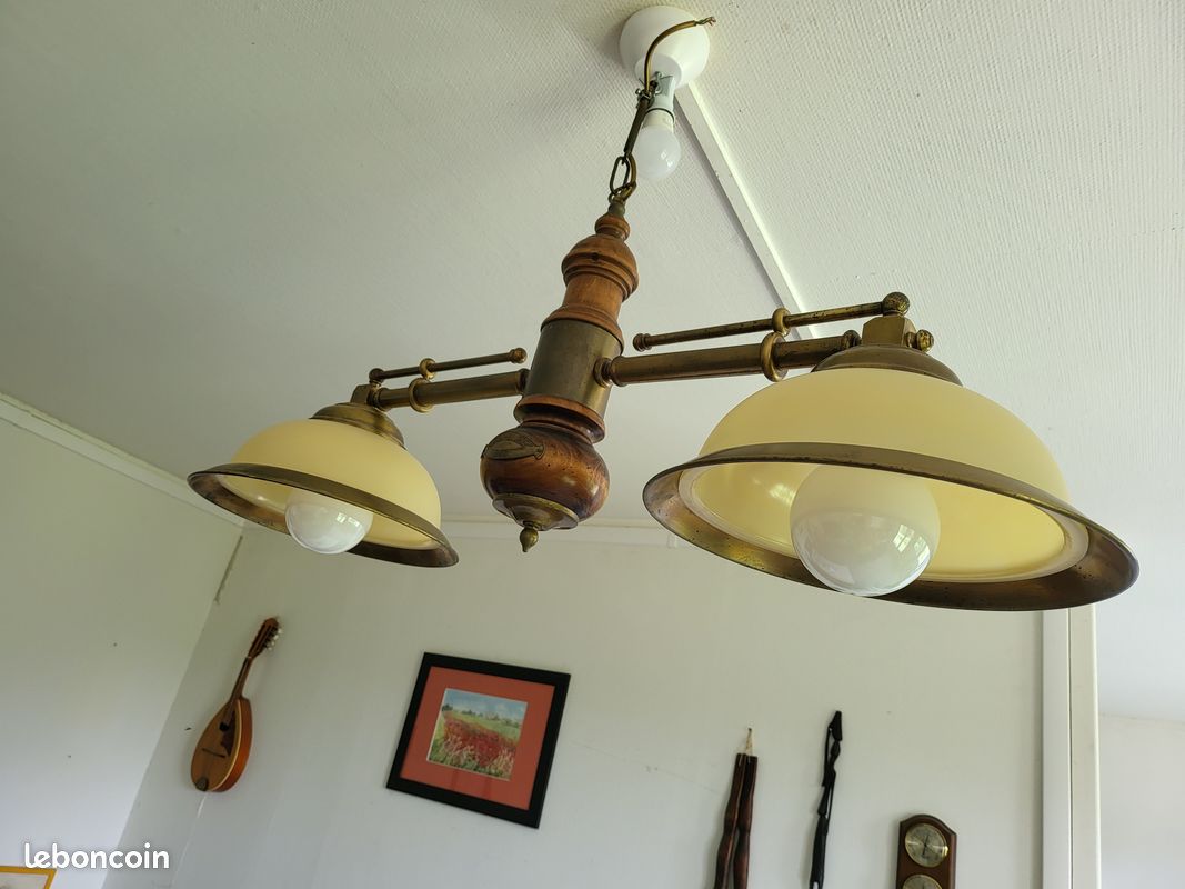 Lustre deux ampoules (image 1)