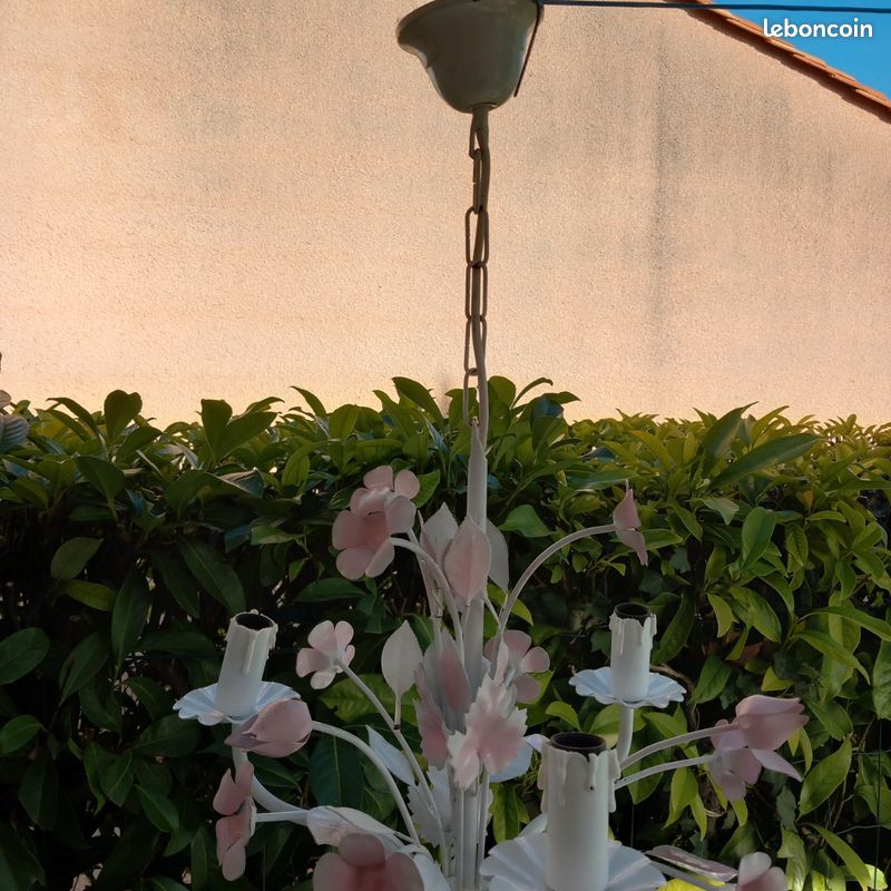 Lutre (image 3)