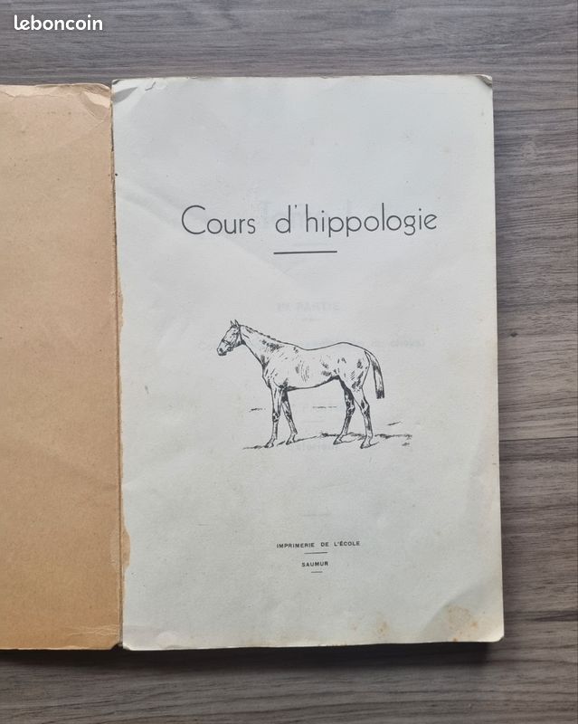 Cours d'hippologie école de Saumur (image 3)