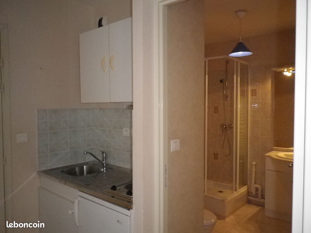 Studio rénové Avenue Montjovis - Limoges 87000 (image principale 1)