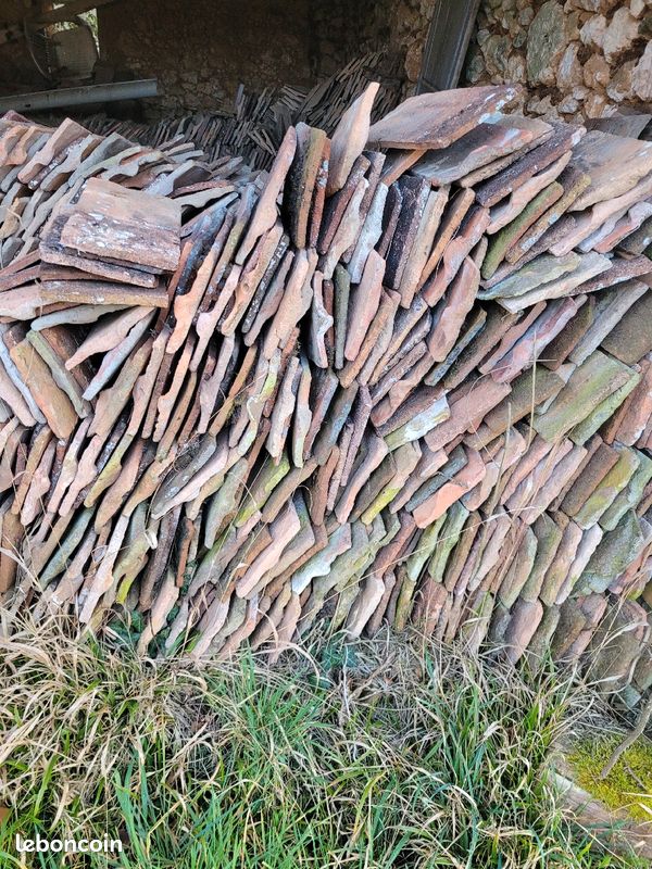 Tuiles plates anciennes (image 1)