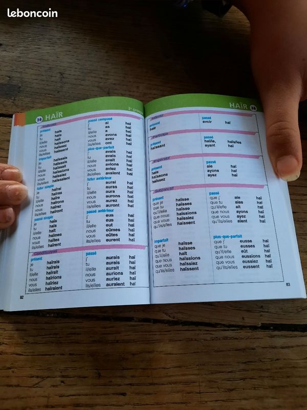Livre aide à la conjugaison (image 6)