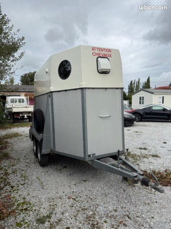 Westfalia Transport Chevaux Van Van Chevaux Places Westfalia