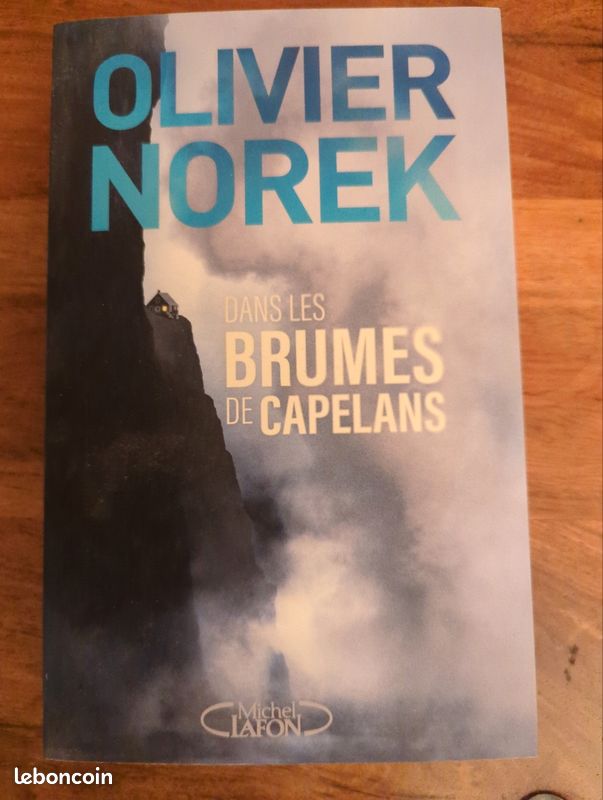 Dans les brumes de capelans (image 2)