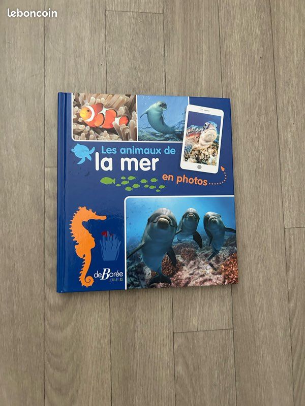 Les Animaux de la Mer en Photos - Christel Durantin - Éd. DeBorée Jeunes (image 1)