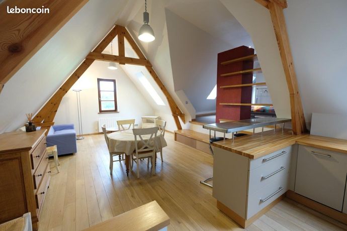 Superbe loft 51 m2
