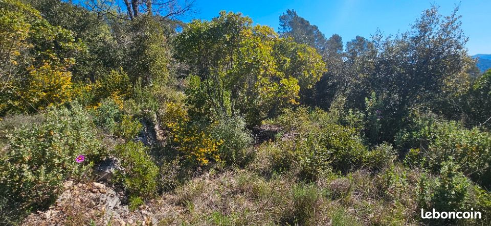 Terrain 10 000 m² Bagnols En Foret · à Bagnols-en-Forêt · 795 000 €