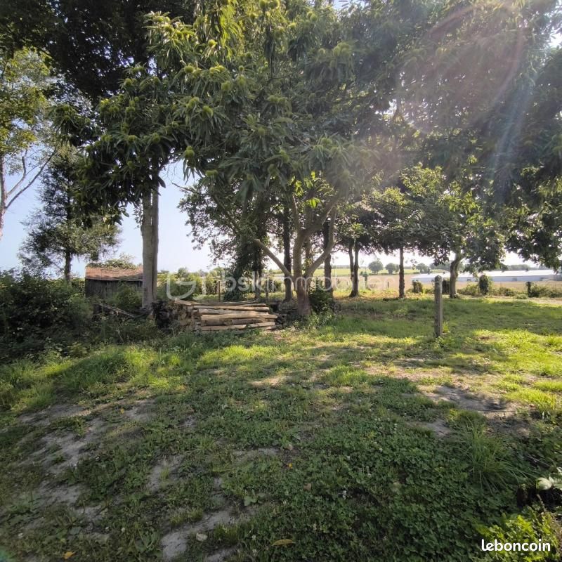 Ferme 5 pièces 120 m² (image 9)