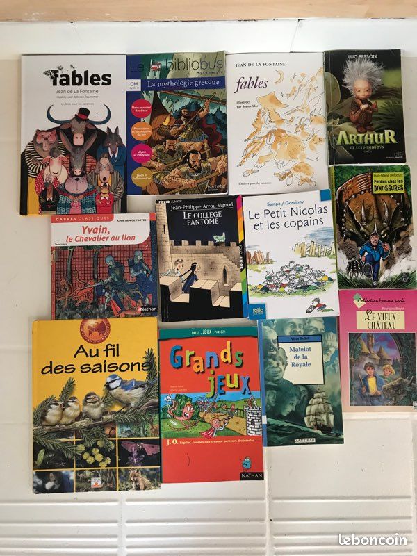 Livres enfants primaires et collégiens (image 1)