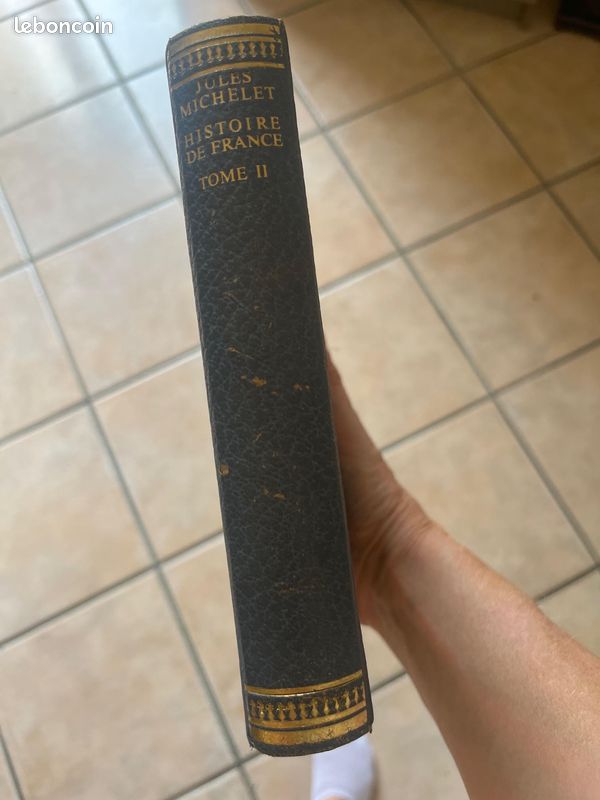 Histoire de France Jules Michelet en 18 volumes (image 4)