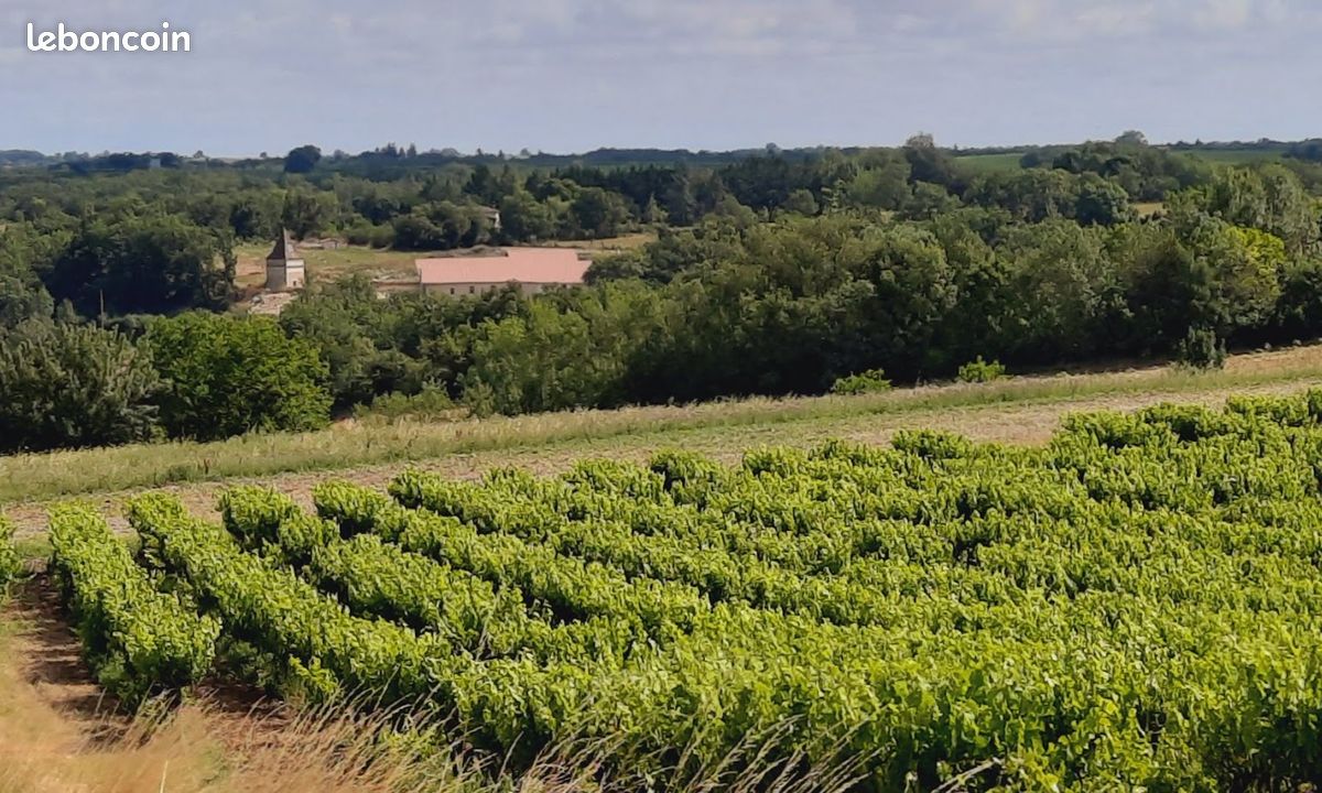 Spacieux gîte (12 personnes) au coeur du triangle d'or: région la plus ensoleillée du Tarn (image 11)