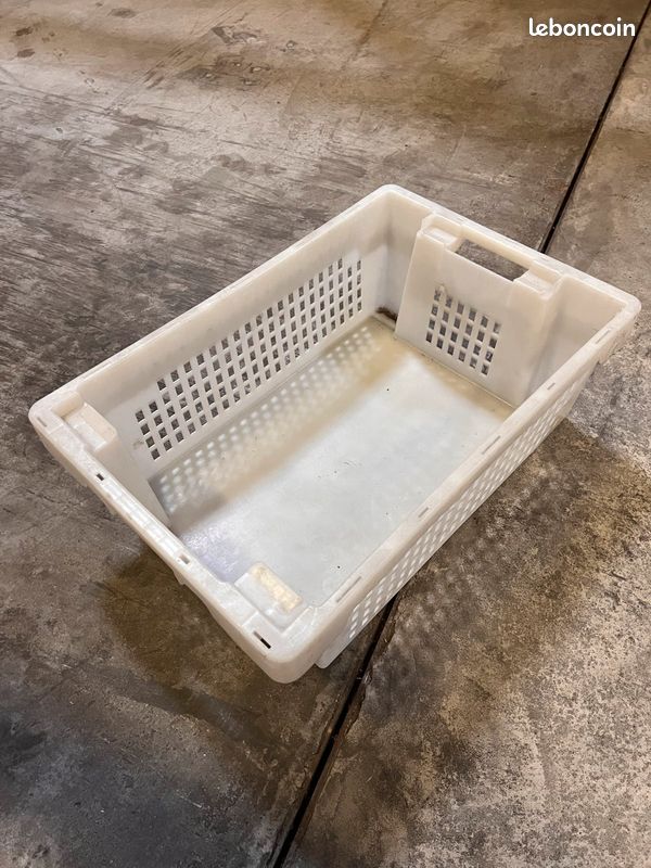 Caisse plastique blanche (image 2)