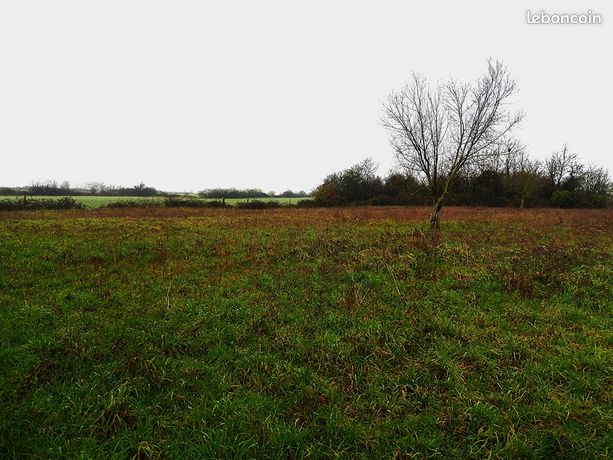 Terrain 2500 m² SAINT GEORGES SUR LOIRE