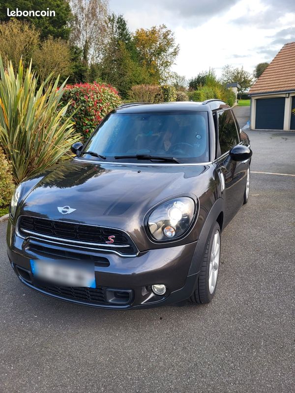 Mini countryman (image 1)