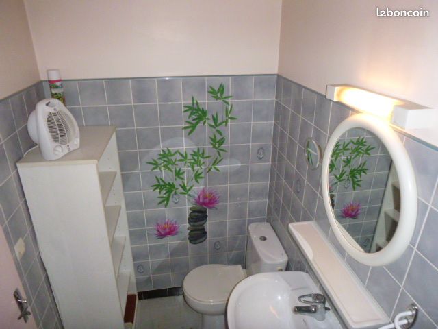 Studio cures thermales/vacanciers (image 6)
