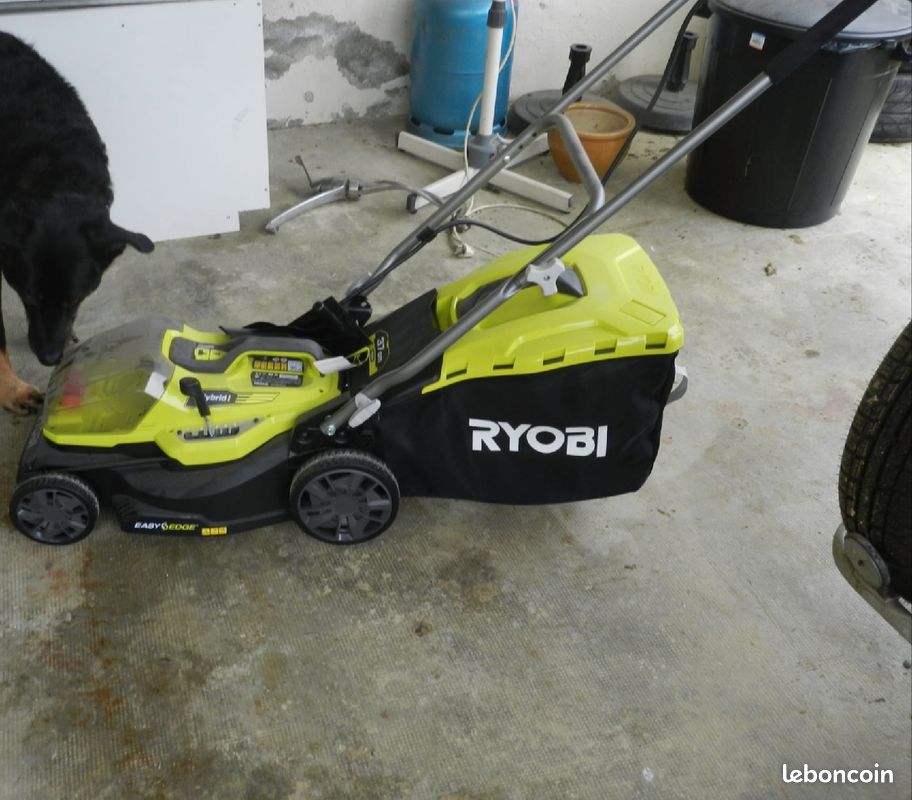 Tondeuse Hybrid Ryobi (image 1)