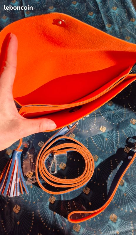 Pochette David Jones Orange et Bleue (image 3)