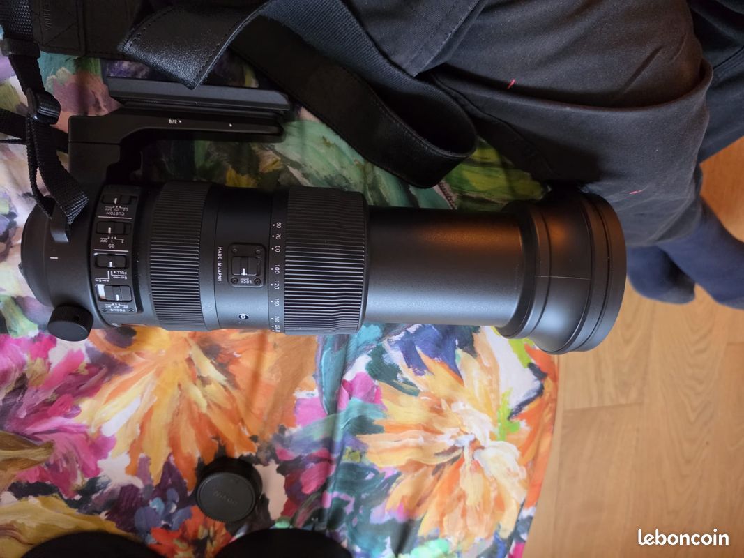 Téléobjectif zoom sigma 60-600 (image 1)