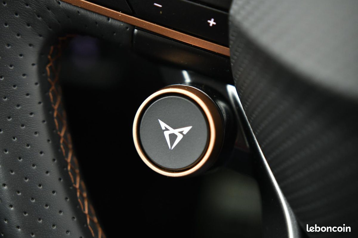 CUPRA FORMENTOR 2.0 TDI 150 ch DSG7 V GARANTIE CUPRA AVRIL 2030 (image 22)