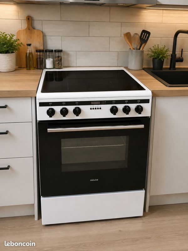 Cuisinière induction proline avec une garantie de 2 ans (image 1)