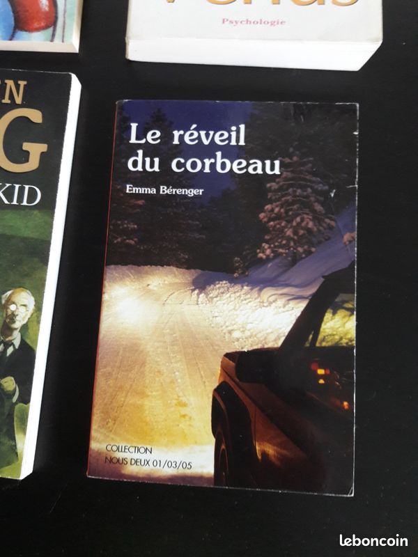Lot de 10 livres de poche (image 10)
