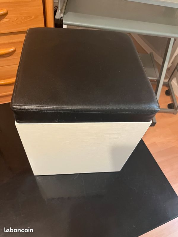 Table basse + pouf en cuir (image 4)