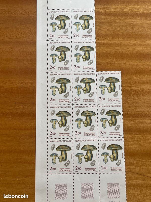Champignons - LOT DE 100 TIMBRES POUR ETUDE CHAMPIGNONS
