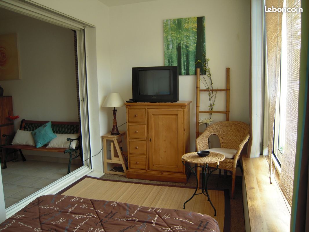 Location saisonnière Grand Studio Confortable (image 2)