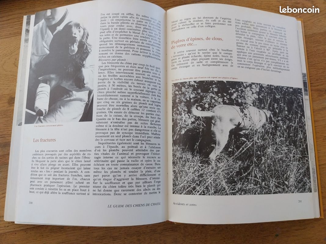 Livre guide des chiens de chasse (image 4)