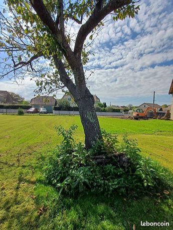 Terrain 710 m² LABASTIDE CEZERACQ