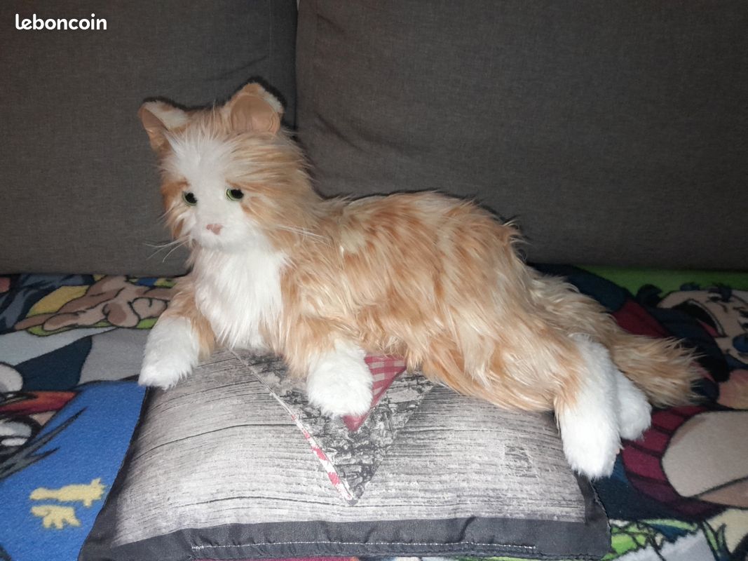 Chat robot interactif-roux Jeux Jouets