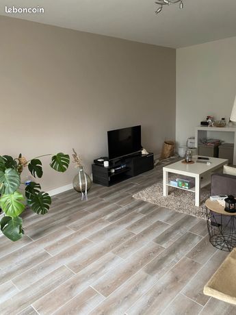 Location appartement 3pieces 66m St Jean de la Ruelle