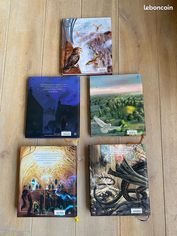 Collection Harry Potter illustré par Jim Kay (image 3)