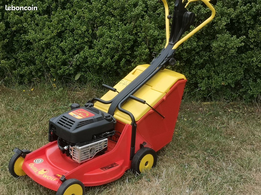 Tondeuse WOLF PBT46 (image 2)