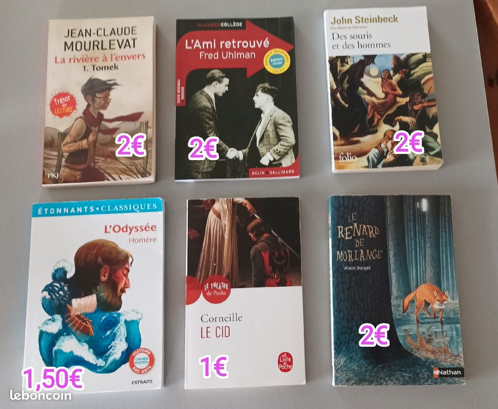 Livres pour le collège (image 1)