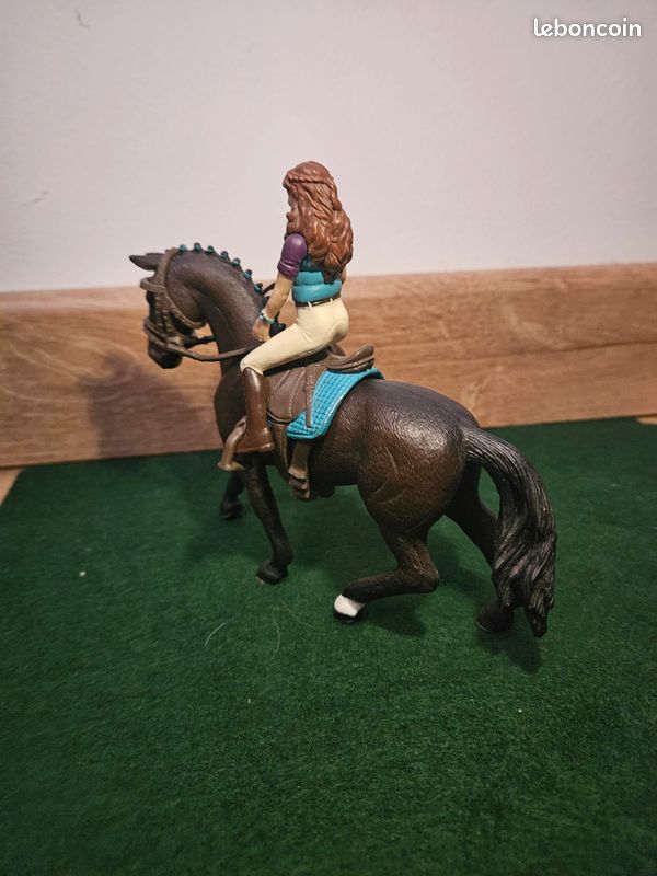 Cheval et sa cavalière (image 3)