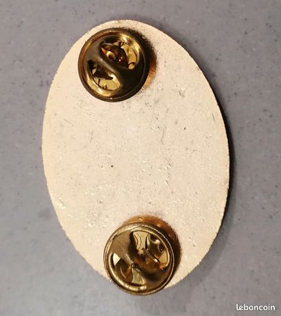 insigne ESF école médaille épingle broche SKI logo badge