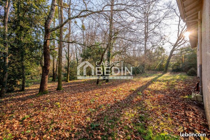 https://img.leboncoin.fr/api/v1/lbcpb1/images/16/97/89/16978956a23e5c9b0097ee8bf6d7f029412365b3.jpg?rule=ad-image