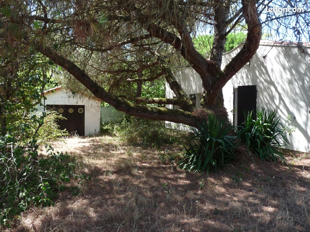 Maison 4 pièces 66 m² · à Saint-Georges-d'Oléron · 66 m² · 270 000 €