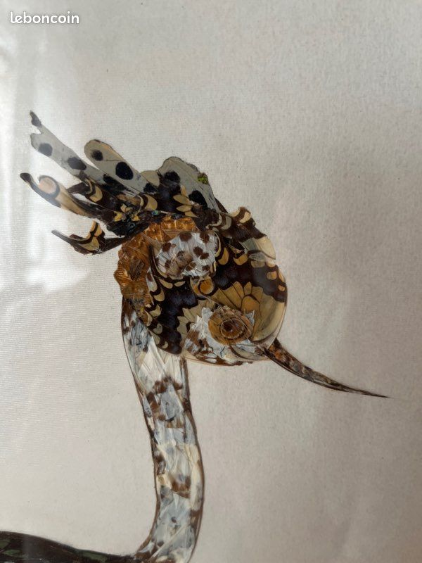 Tableau en ailes de papillon (image 2)