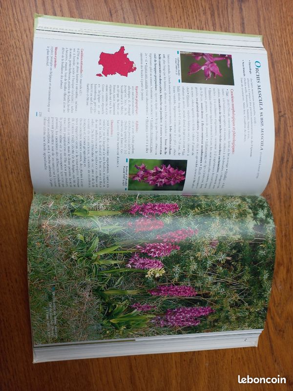 Livre sur les orchidées de France (image 3)