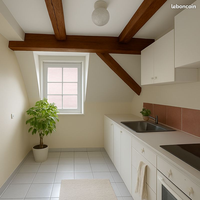 Appartement 1 pièce 30 m² · à Seebach · 30 m² · 450 €