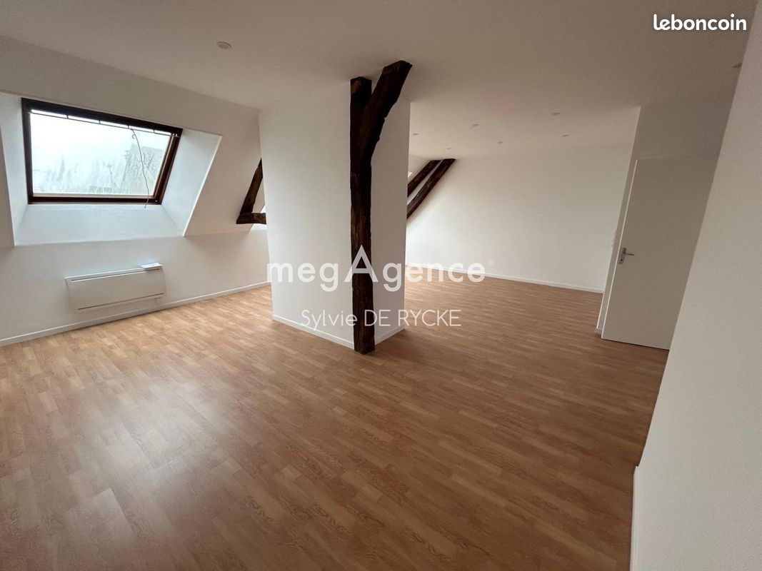 Immeuble 504 m² SENS (image 11)